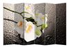Ширма 1111-6 "Белая орхидея и капли" (6 панелей)